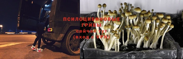 гашиш Волоколамск